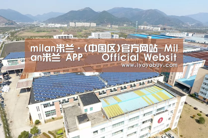 案例展示三