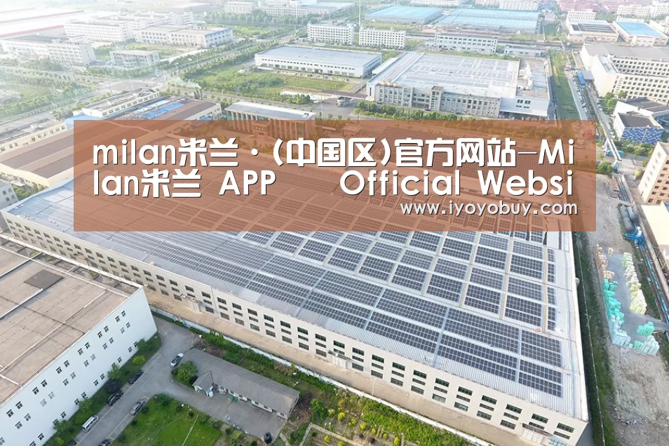 案例展示四