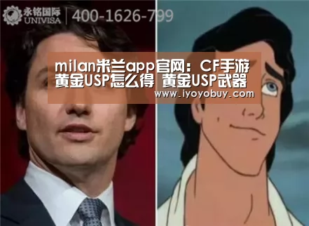 milan米兰app官网