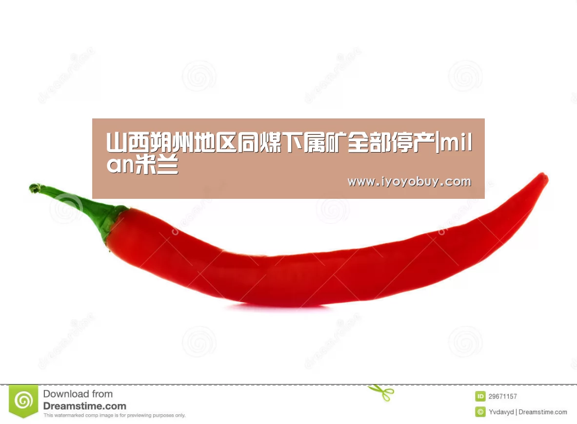 山西朔州地区同煤下属矿全部停产|milan米兰(图3) milan米兰app官网