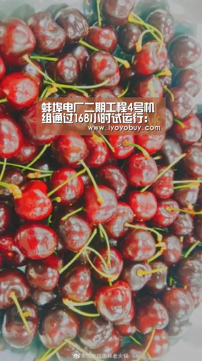 milan米兰app官网