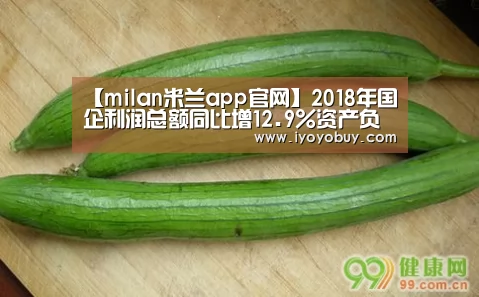 【milan米兰app官网】2018年国企利润总额同比增12.9%资产负债率降0.2%(图1) milan米兰app官网